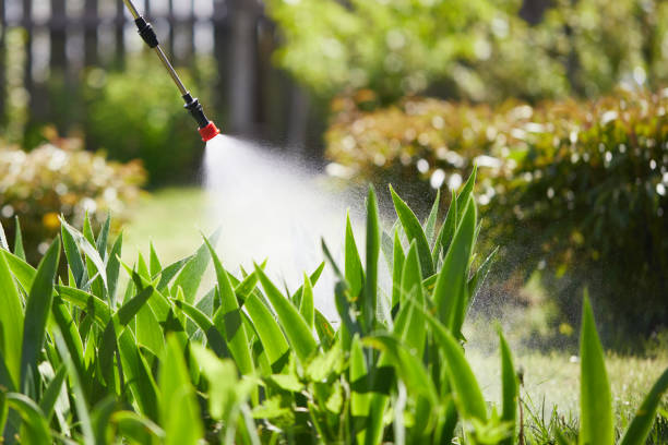 24/7 Emergency Wasp Removal experts in Eleanor, WV