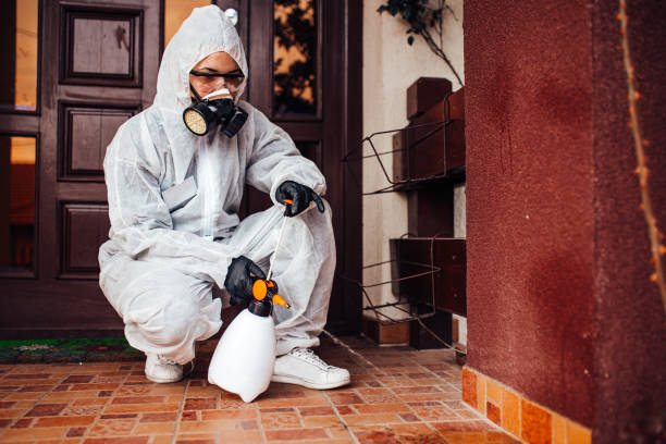 Reliable Wasp Removal contractor in Eleanor, WV by Show Me Pest Control
